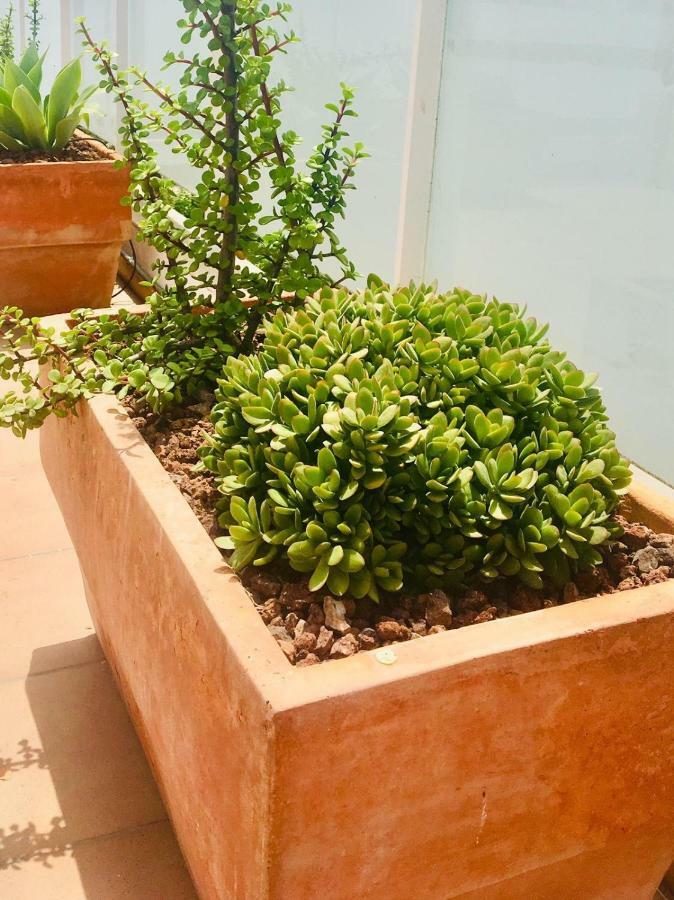 Penthouse La Paz 9 - Castle View Apartment Moraira Exterior photo